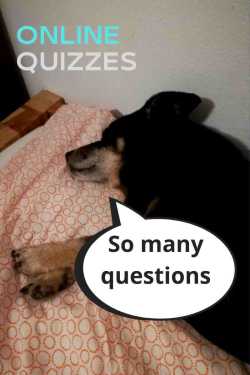 Try quiz apps, answer the questions and see a win-win